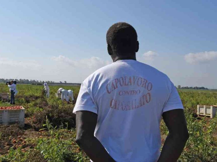 Nei campi dell'Agro Pontino c'è un esercito di lavoratori fantasma