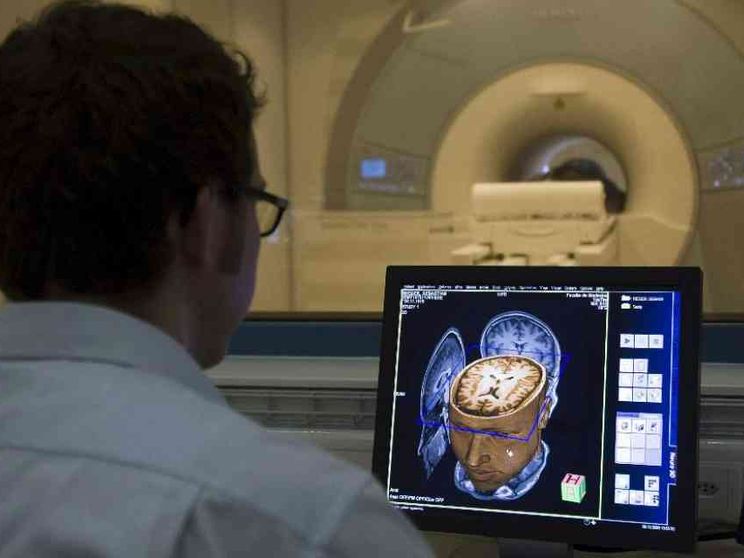Avatar digitali, diagnosi, farmaci. Nasce il Cern italiano del cervello