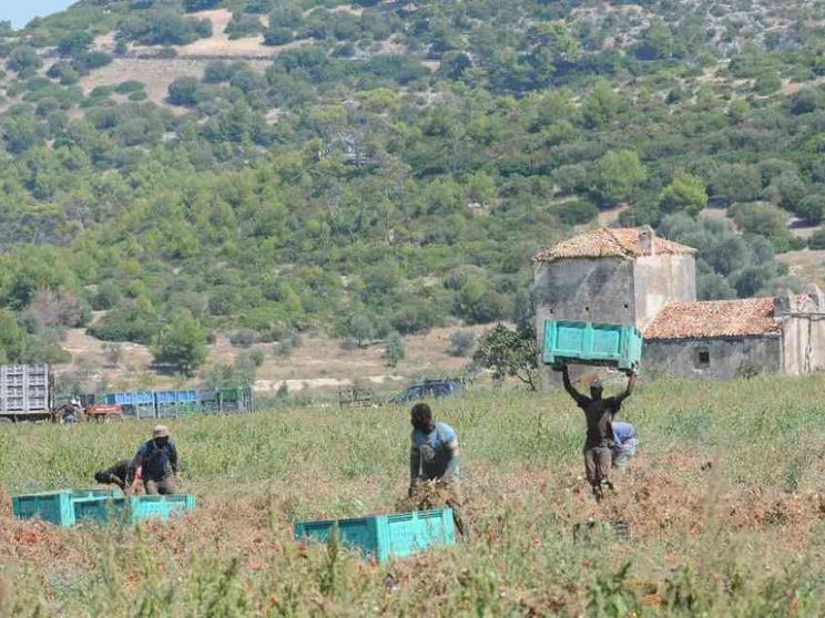 Irregolari nei campi? Solo uno su quattro