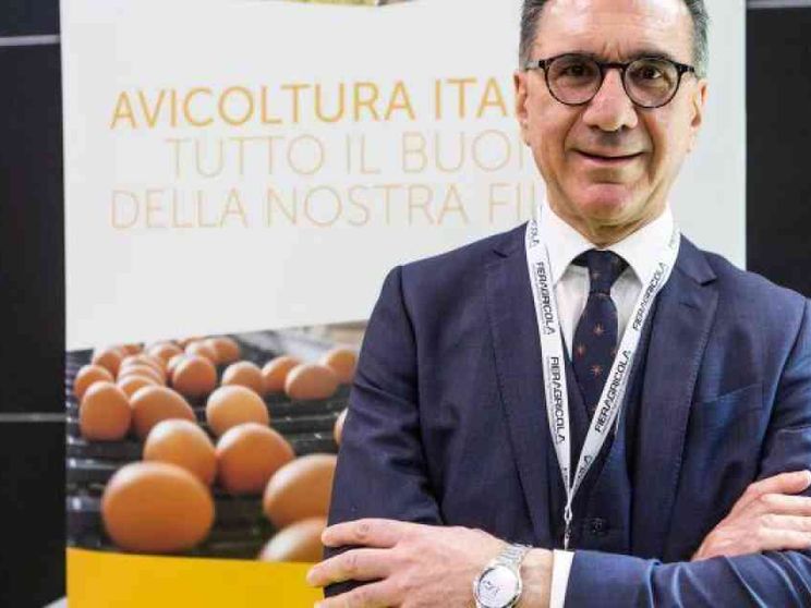 Unaitalia conferma Forlini presidente, avicoltura vale 7,5 miliardi