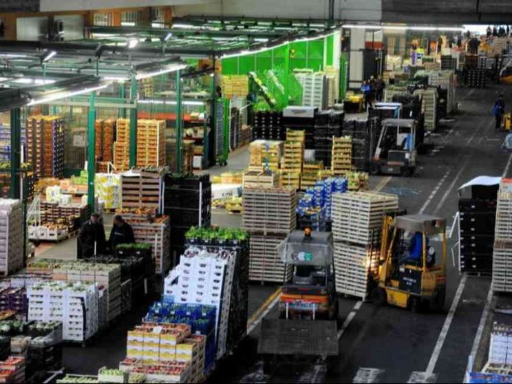 Il caporalato arriva in tavola: così resiste la filiera del cibo senza regole