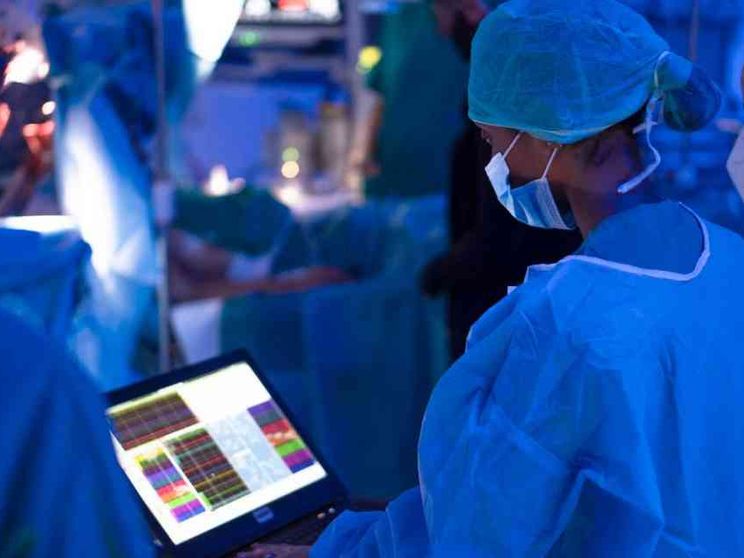 Così il sistema immunitario “dialoga e infiamma” il nostro cervello