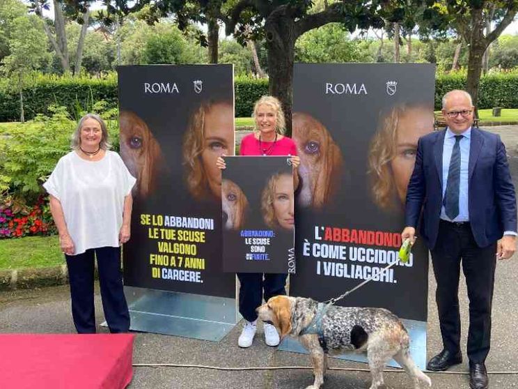 "Le scuse sono finite": il Campidoglio contro l'abbandono degli animali