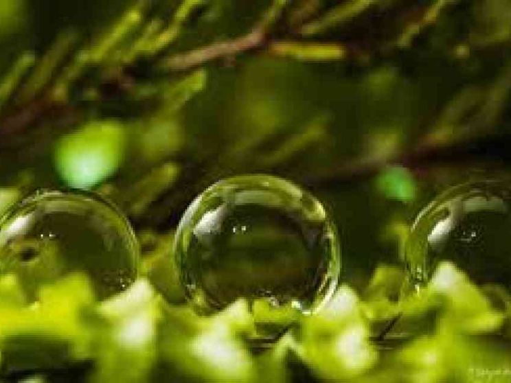 Green Deal alla prova della nuova Ue