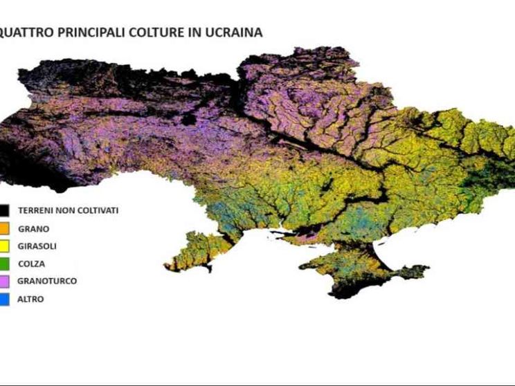 La guerra ha svuotato il granaio d’Europa: Ucraina, perso un quinto dei terreni