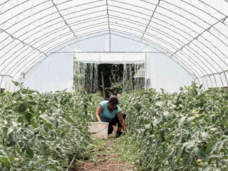 Irina e le altre, madri nei campi d'Italia (che i figli non riconoscono più)