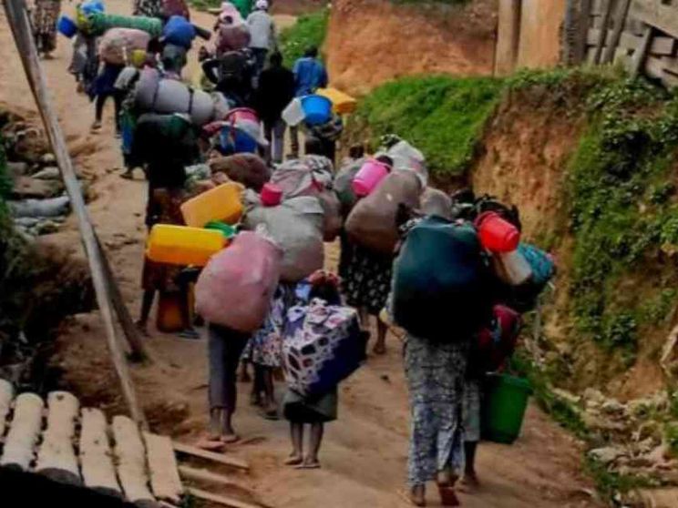 In Congo il cacao è il nuovo oro. Massacri per rubare il raccolto