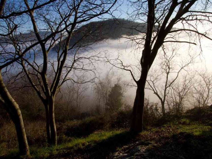 I Colli Euganei entrano nel patrimonio della biosfera Unesco