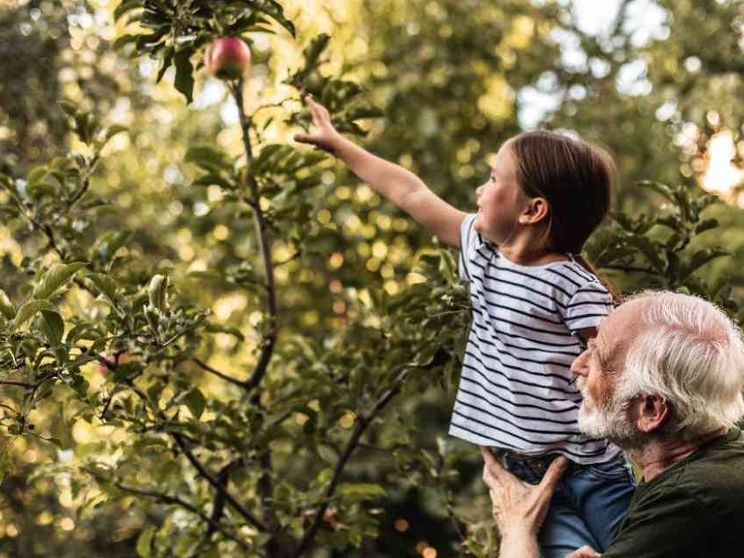 Cari nonni, ecco come non sentirsi abbandonati