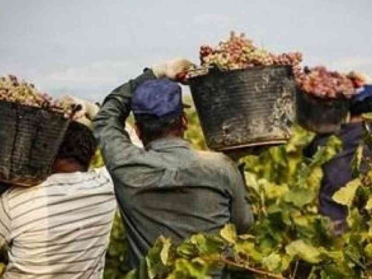 La storia dei 33 braccianti ridotti in schiavitù dai caporali indiani