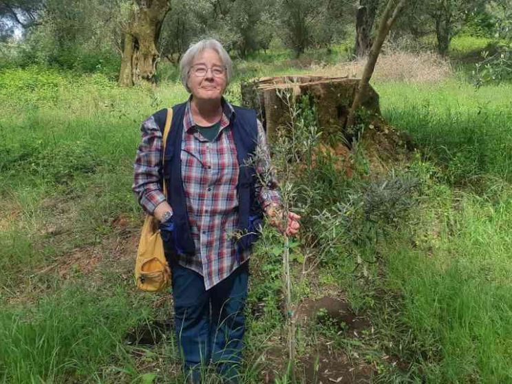 Nuova intimidazione alla sua azienda. Ma lei resiste: non lascio la Calabria