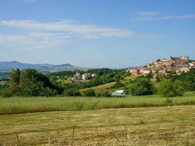 «Per la Chiesa forme nuove di presenza anche nelle aree più isolate del Paese»