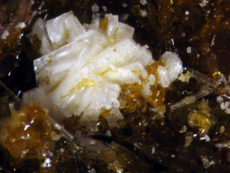 La batoniite è il primo “minerale dell'anno” scoperto in Italia