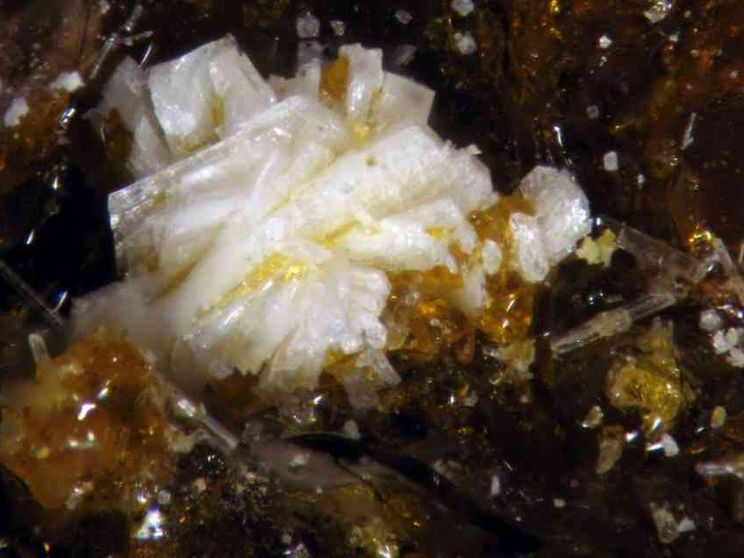 La batoniite è il primo “minerale dell'anno” scoperto in Italia