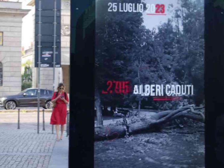 Un anno dopo la tempesta Milano ha “ritrovato” 5mila alberi