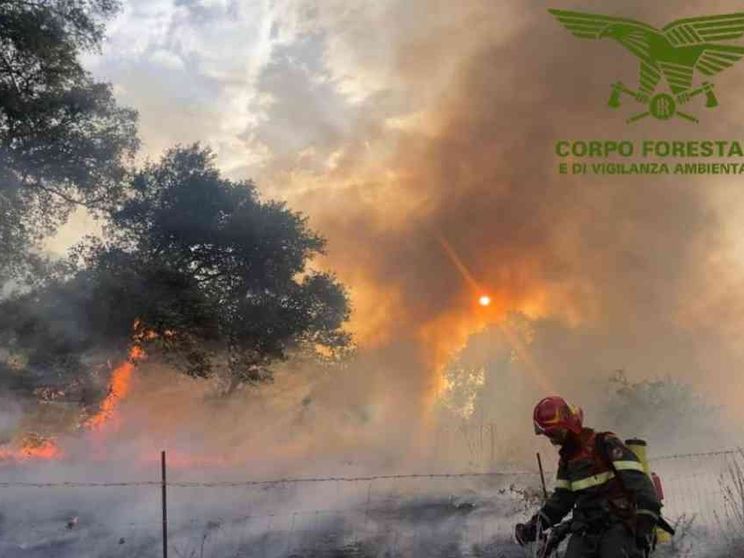 Le fiamme hanno distrutto 800 ettari di bosco nel Nuorese