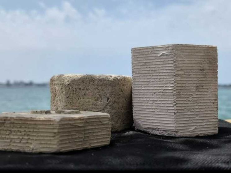 Dai gusci delle cozze si fa un cemento ecosostenibile