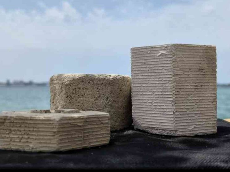 Dai gusci delle cozze si fa un cemento ecosostenibile