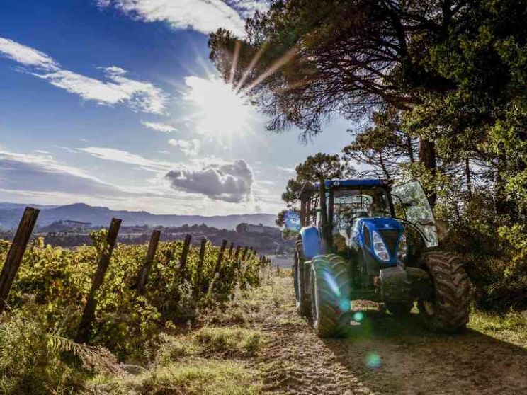 Le belle storie di chi torna in Italia a fare impresa