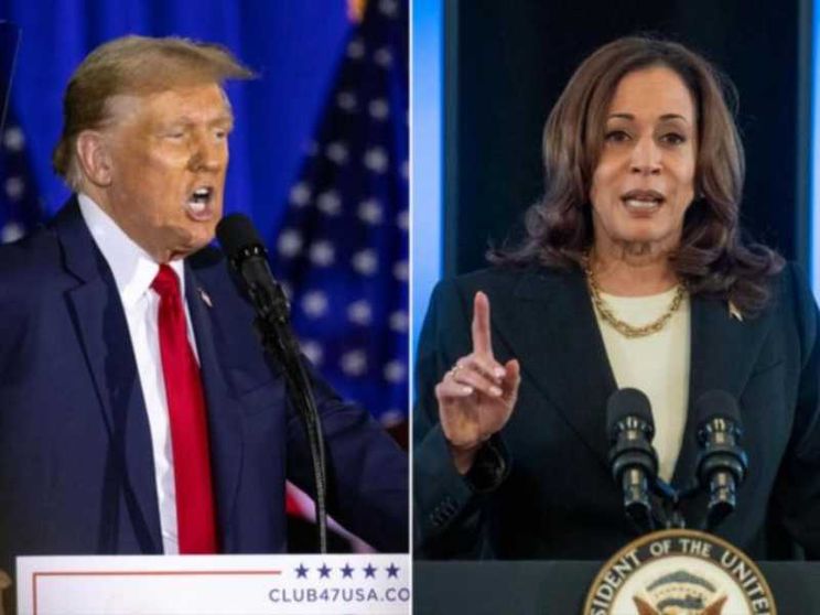 Trump per risalire punta sulle "fake"