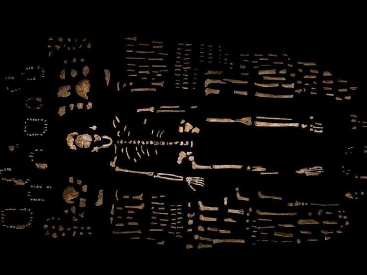 Homo Naledi: una nuova ricerca smonta la tesi sulle sepolture