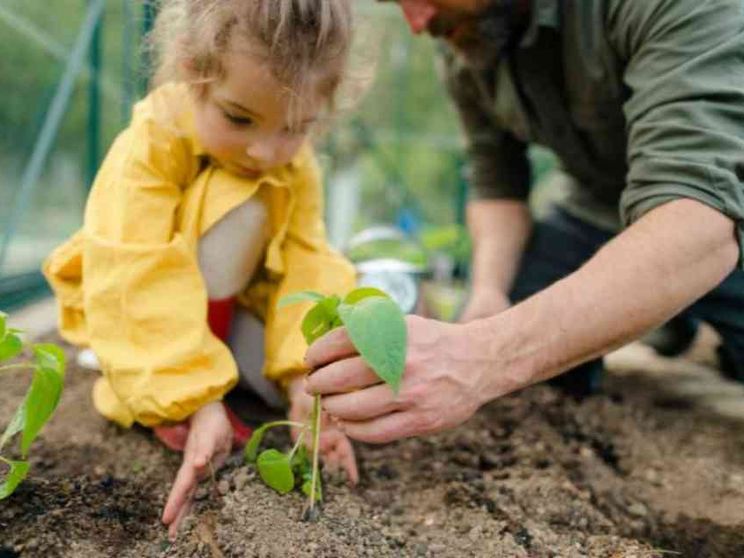Riecco la Giornata del Creato: ascoltiamo l'Sos del pianeta