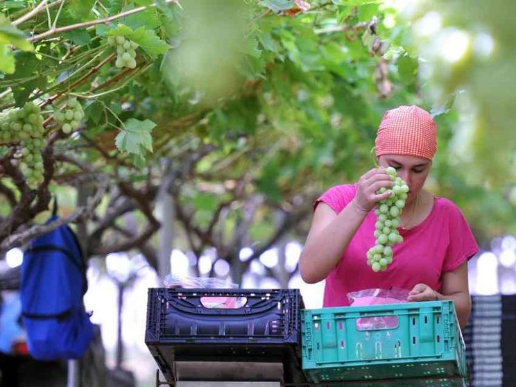 Nei Paesi ricchi il 13% dei lavoratori ha problemi per il troppo caldo