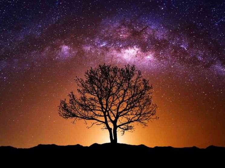 La preghiera è scuola di bellezza