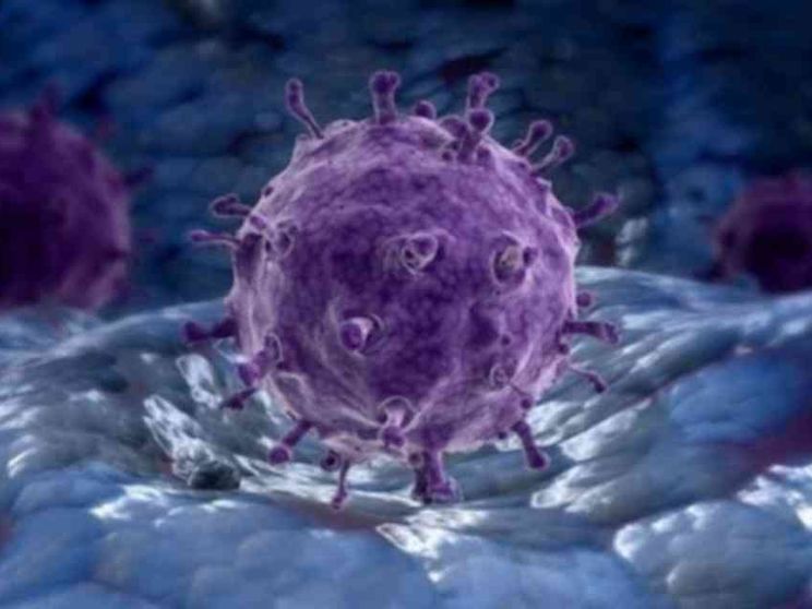 Aviaria, negli Stati Uniti il primo caso di trasmissione tra persone