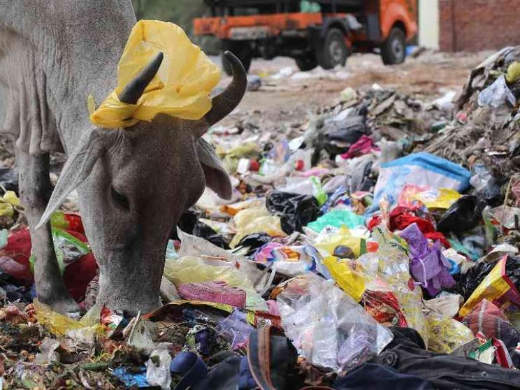 È l'India il Paese che più inquina al mondo per la plastica