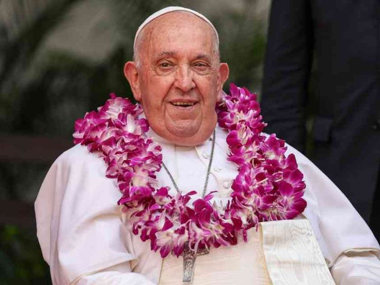 La semina di Francesco Saverio e la pianta viva 500 anni dopo