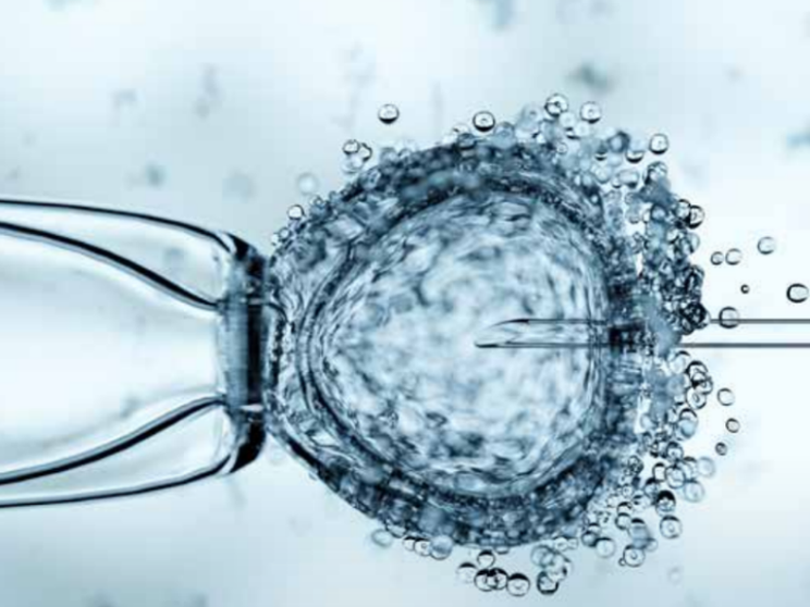 Procreazione artificiale: la vita si dona o si "possiede"?