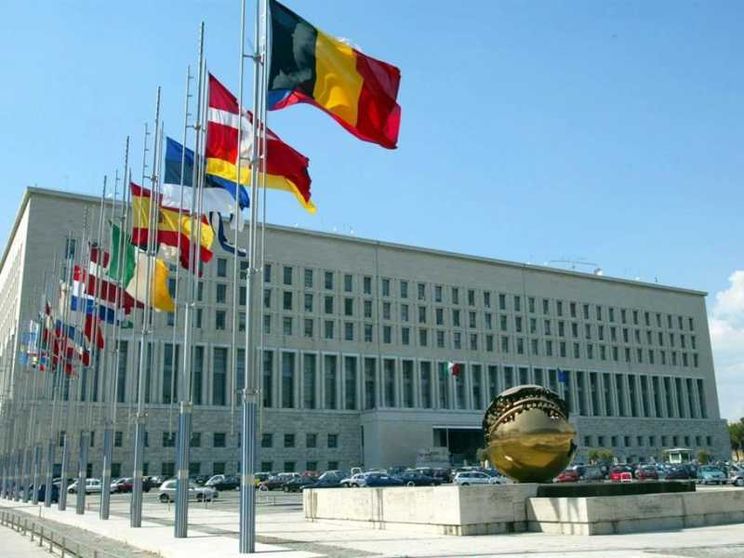 Tirocini nelle sedi diplomatiche