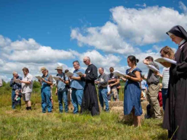 Dio, campagna e famiglia: nascono le fattorie all'insegna dell'ora et labora