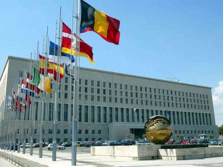 Tirocini nelle sedi diplomatiche