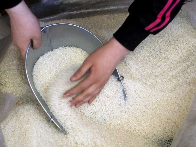 Dal riso cambogiano all'acciaio cinese, nuovi fronti per la guerra dei dazi