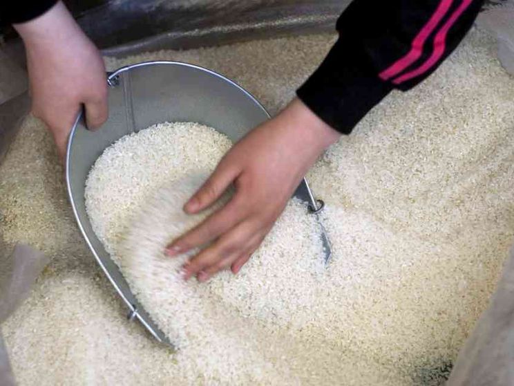 Dal riso cambogiano all'acciaio cinese, nuovi fronti per la guerra dei dazi