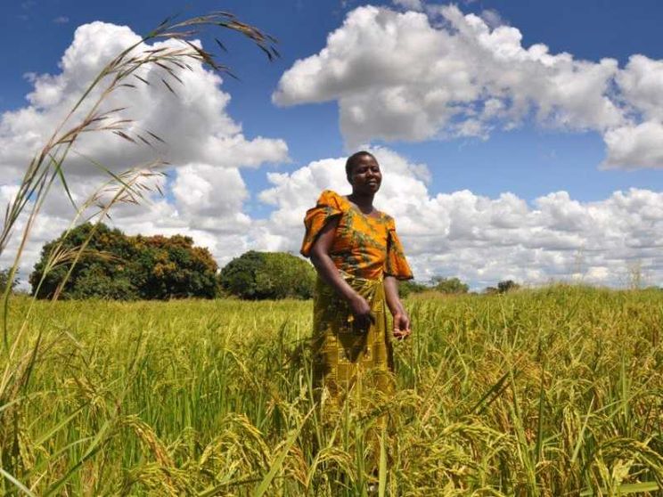 G7 agricoltura, investimenti e diplomazia: l'Africa tra clima e speculazione