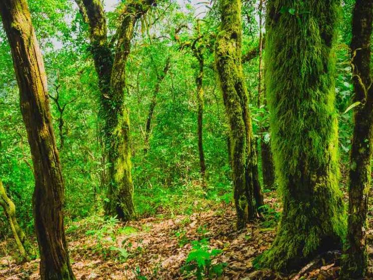 La preghiera: tutta la natura dice "Padre Nostro"