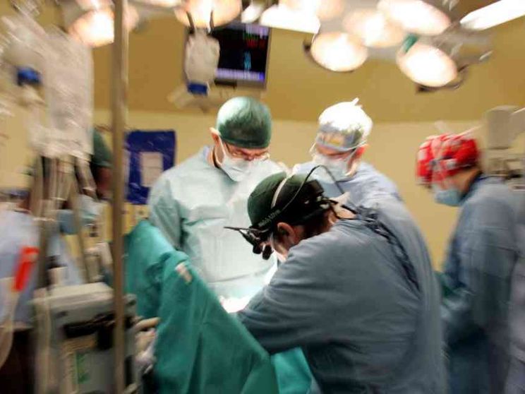 Trapianti quadruplicati, perché l’Italia è cresciuta così tanto in trent’anni