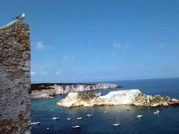 Michelina, la maestra che a 64 anni fa riaprire la scuola alle Tremiti