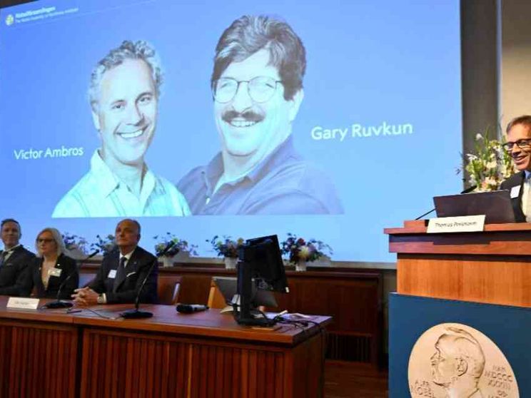 La scoperta dei “geni interruttori” vale il Nobel ad Ambros e Ruvkun