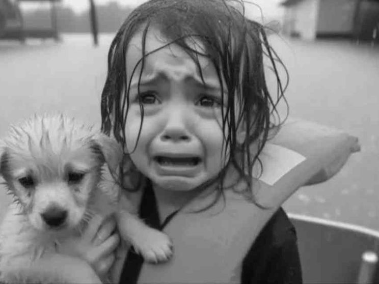 Bella storia, brutta bufala: la foto (falsa) della bambina vittima di Helen