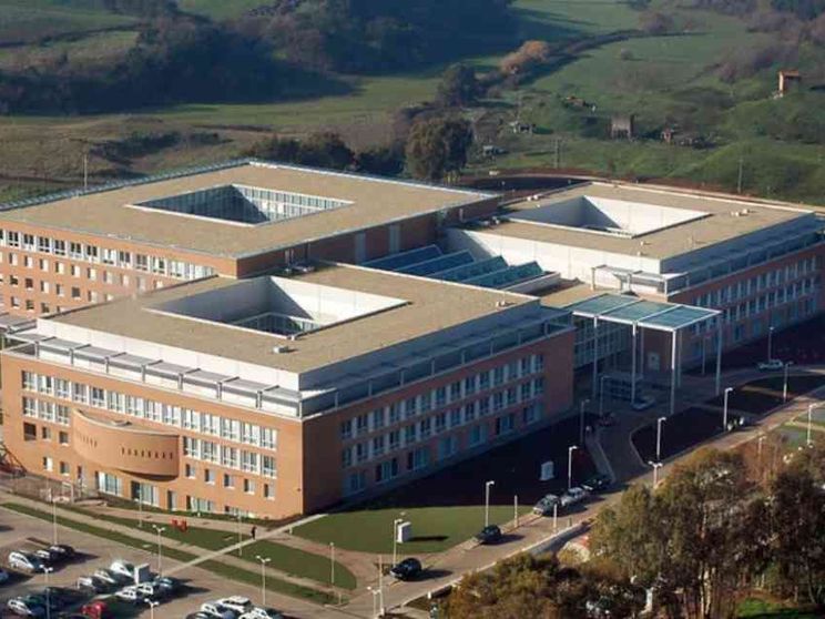 Nel regno delle protesi e della “medicina riparativa"