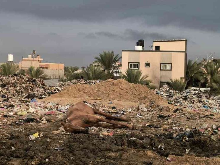 «Gaza è sommersa di rifiuti. Anche ospedalieri»