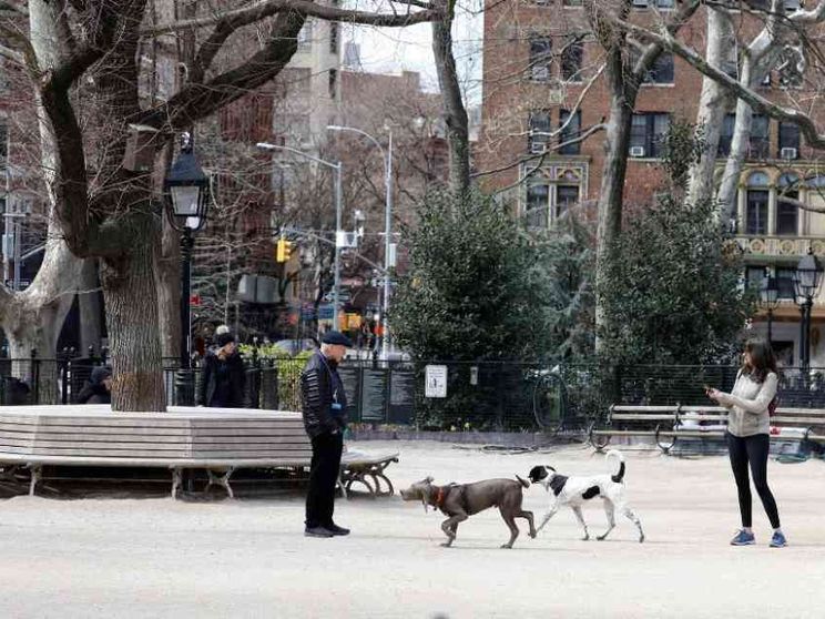 Proposto a New York il congedo per malattia dell'animale domestico