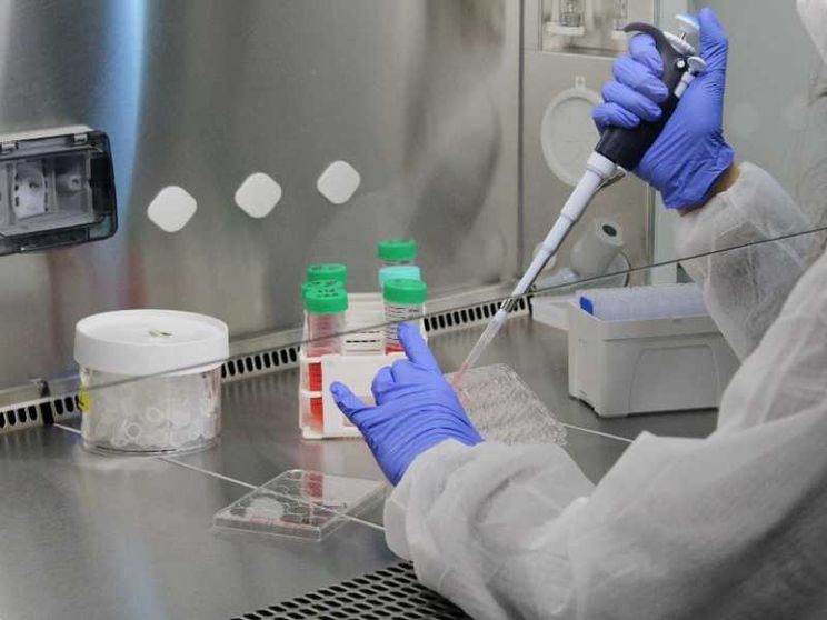Speranze di cura per la forma genetica più comune di Sla