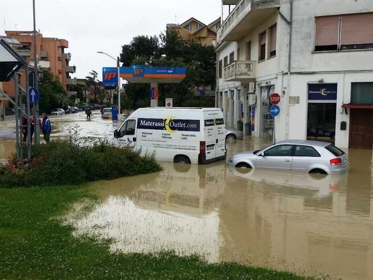 Confcooperative: ecco il nostro impegno per la sostenibilità
