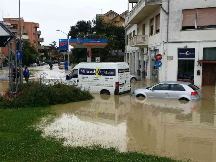 Confcooperative: ecco il nostro impegno per la sostenibilità