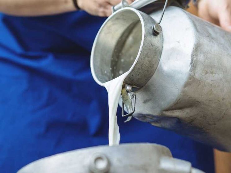 «Politiche su misura per la filiera del latte»